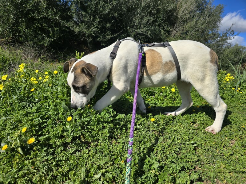 Nicolina: vom Parkplatz ins schöne Leben