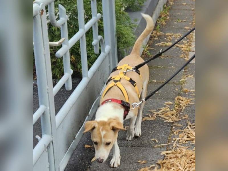 Lucy: ein Schatz für Jedermann