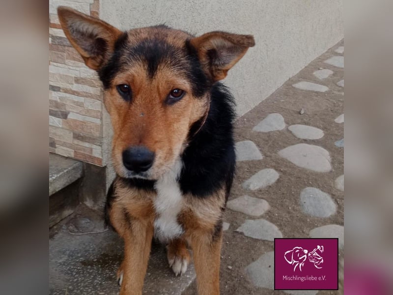 Marti möchte glücklich werden