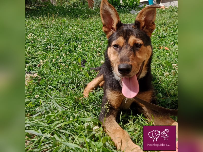 Marti möchte glücklich werden