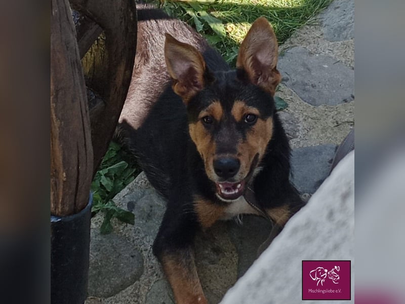 Marti möchte glücklich werden