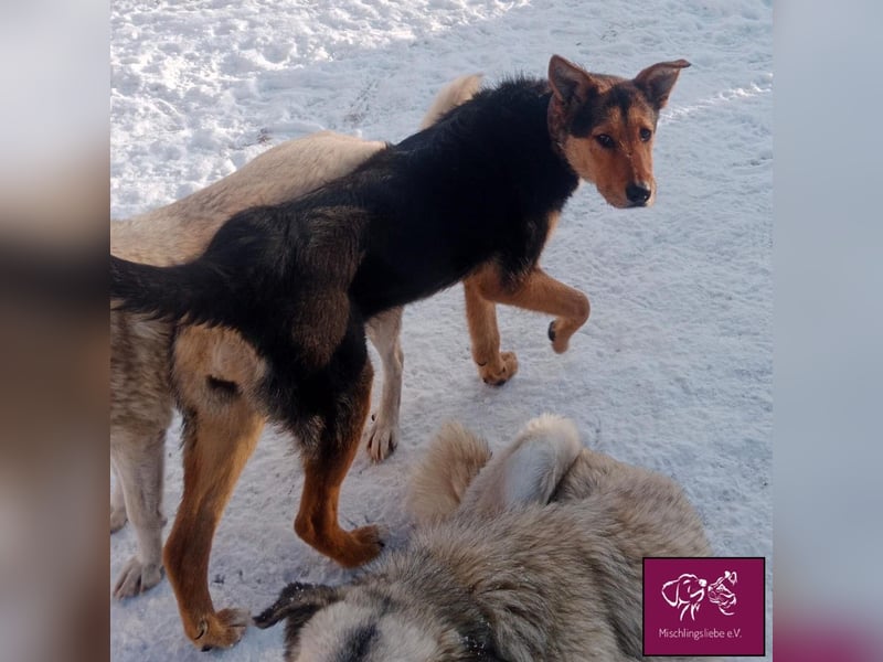 Marti möchte glücklich werden