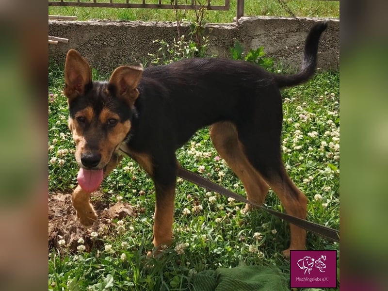 Marti möchte glücklich werden