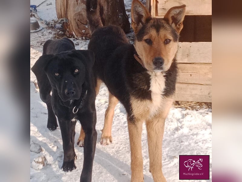 Marti möchte glücklich werden