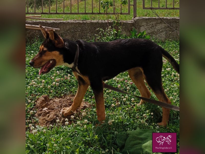 Marti möchte glücklich werden