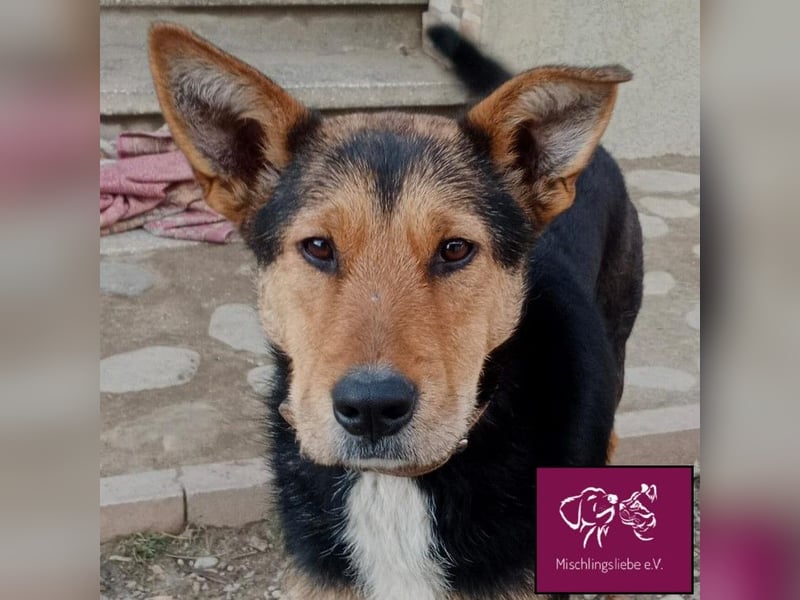 Marti möchte glücklich werden