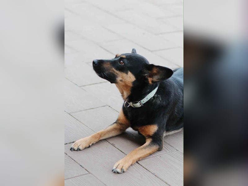 Wunderbare Michelle sucht ihre Familie