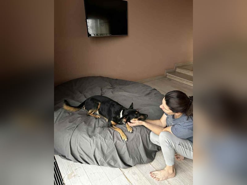 Wunderbare Michelle sucht ihre Familie