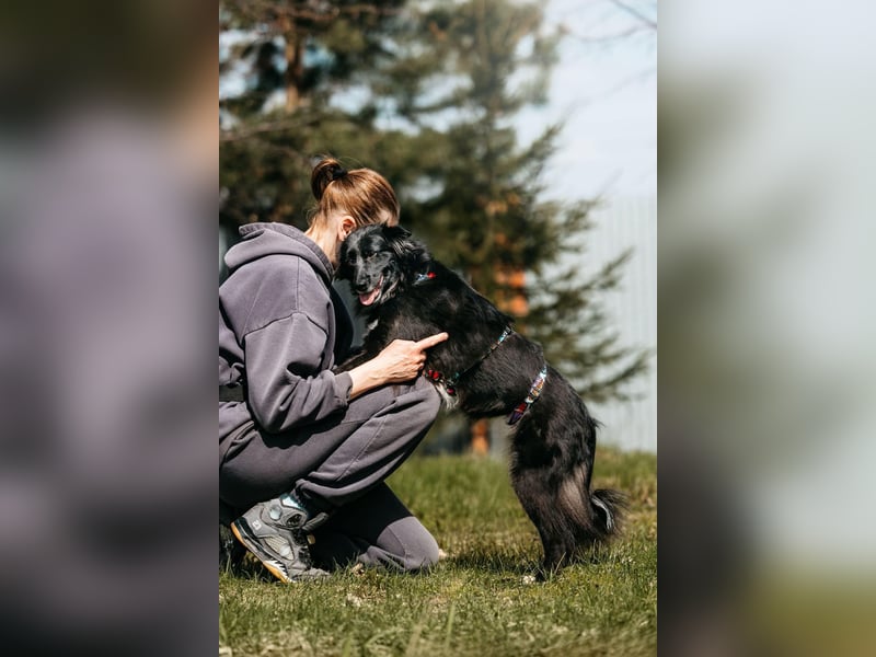 Fröhliche Bonja sucht ihre Menschen