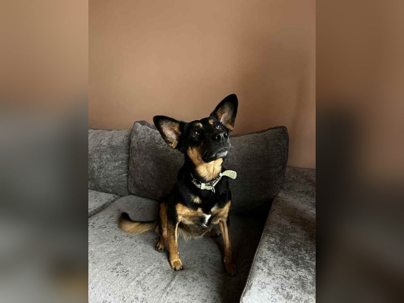 Wunderbare Michelle sucht ihre Familie