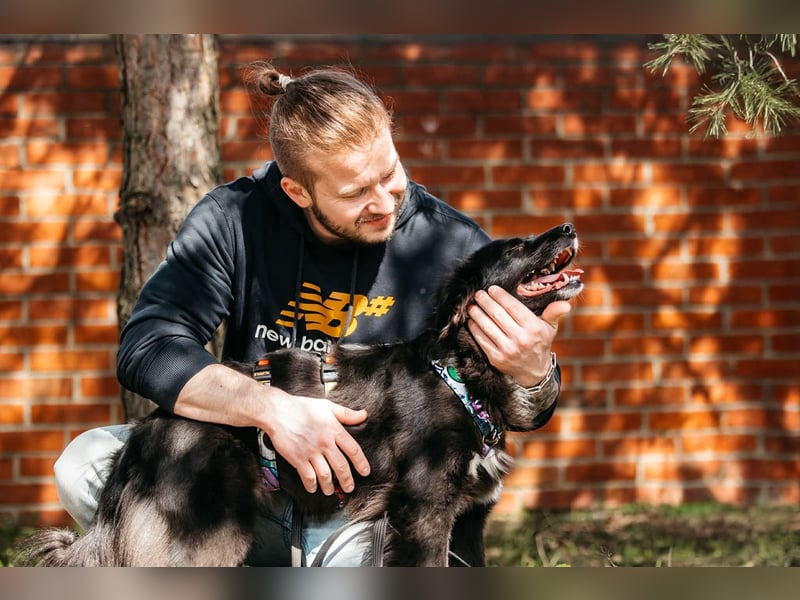 Fröhliche Bonja sucht ihre Menschen
