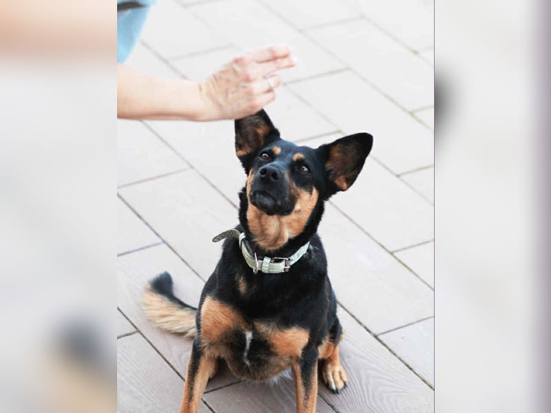 Wunderbare Michelle sucht ihre Familie