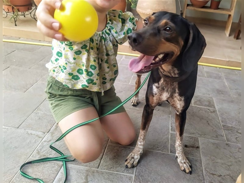 Chap sucht sein zu Hause!❤️