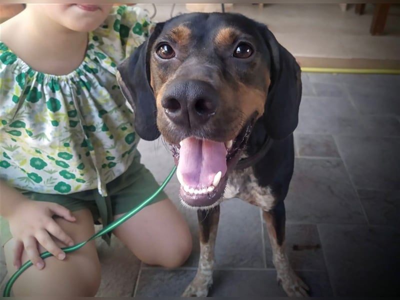 Chap sucht sein zu Hause!❤️