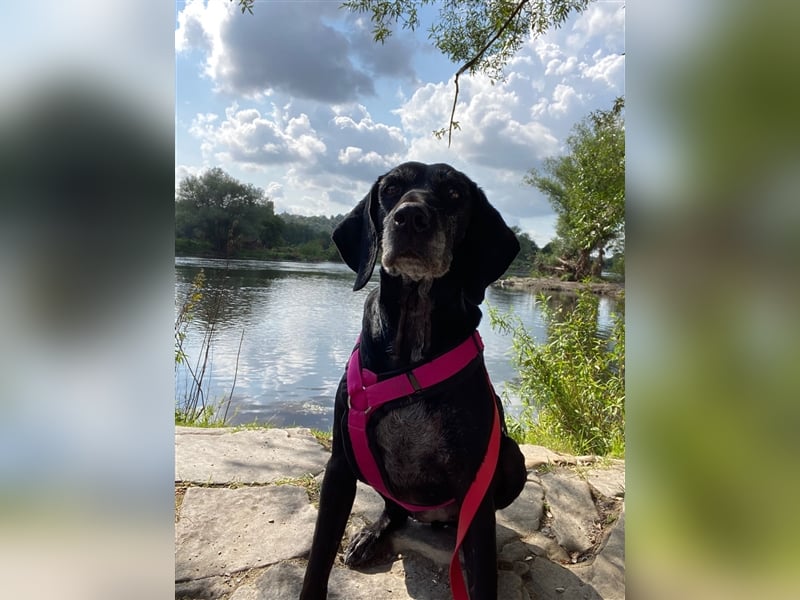 Athena sucht ihr Zuhause