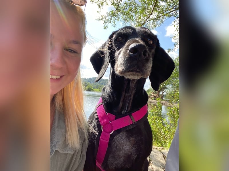 Athena sucht ihr Zuhause