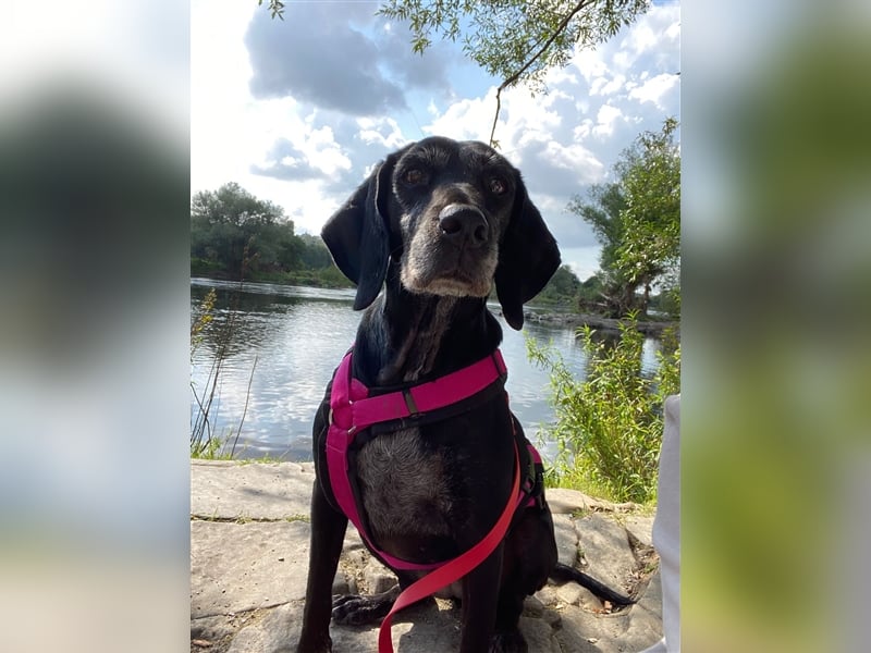 Athena sucht ihr Zuhause