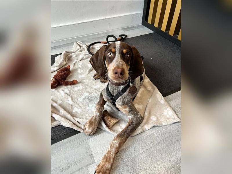 Willie sucht sein zu Hause ! ❤️