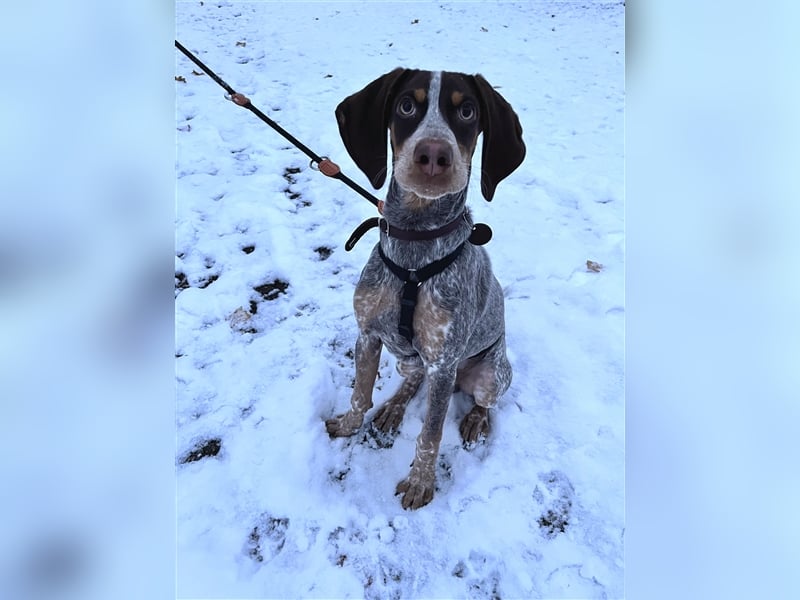 Willie sucht sein zu Hause ! ❤️