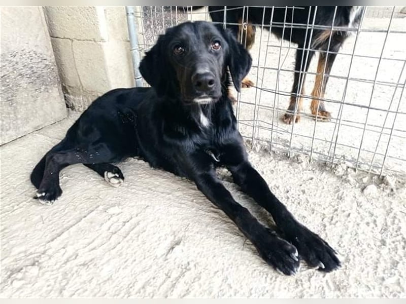 Sofita sucht ihr zu Hause! ❤️