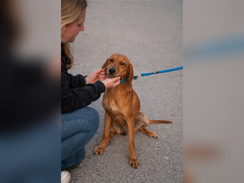 Ciara sucht ihr zu Hause! ❤️