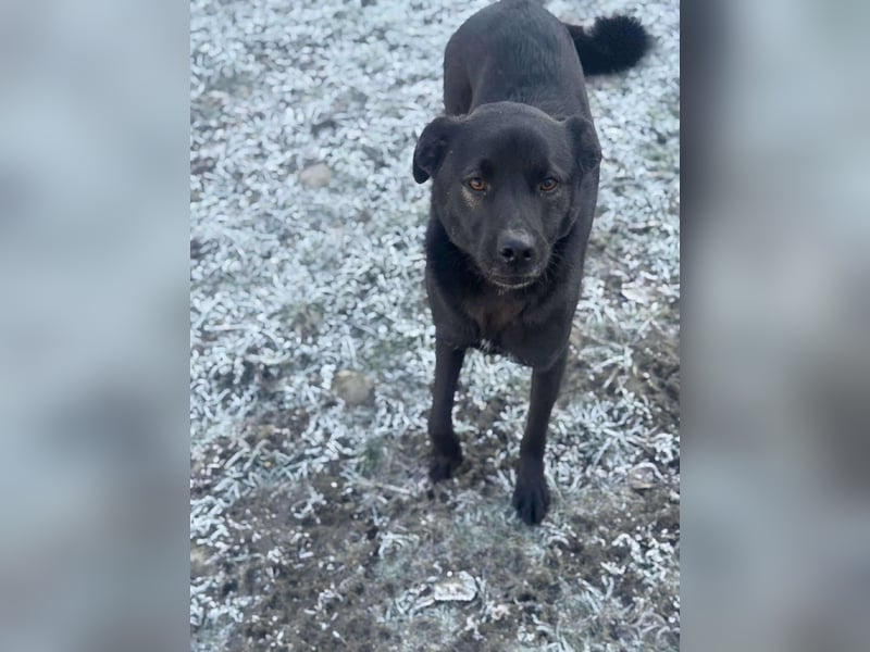 Yana, zarte Schönheit sucht ihre Menschen