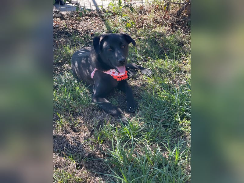 Yana, zarte Schönheit sucht ihre Menschen