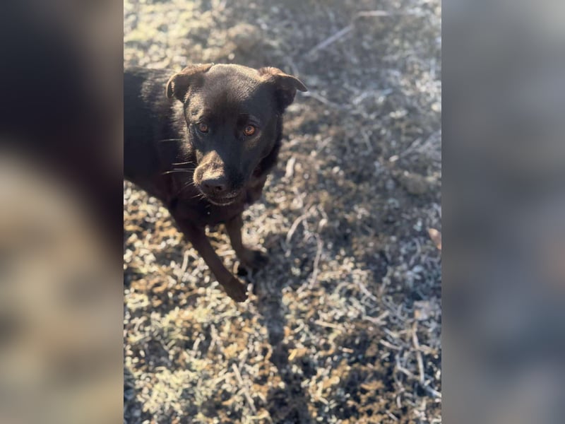 Yana, zarte Schönheit sucht ihre Menschen