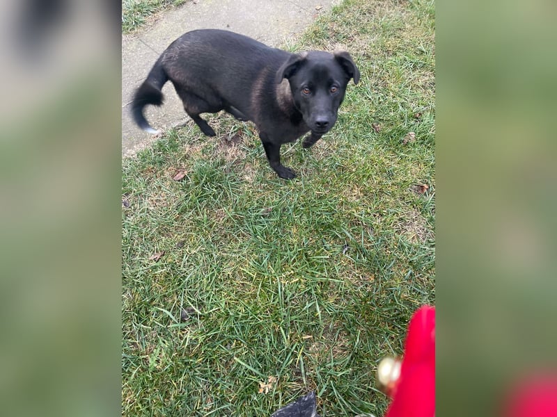 Yana, zarte Schönheit sucht ihre Menschen