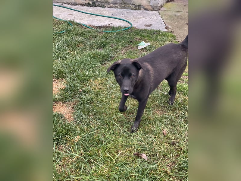 Yana, zarte Schönheit sucht ihre Menschen