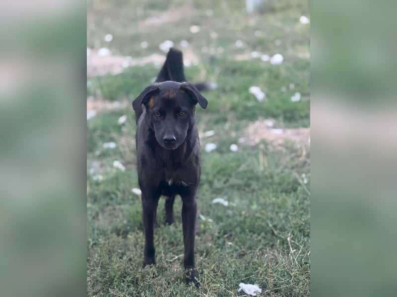 Yana, zarte Schönheit sucht ihre Menschen