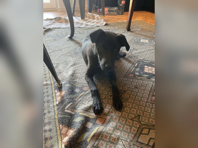 Yana, zarte Schönheit sucht ihre Menschen