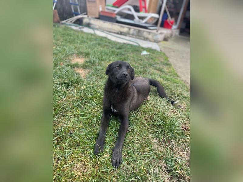 Yana, zarte Schönheit sucht ihre Menschen