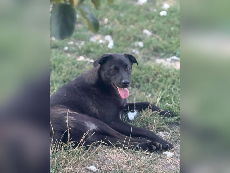 Yana, zarte Schönheit sucht ihre Menschen