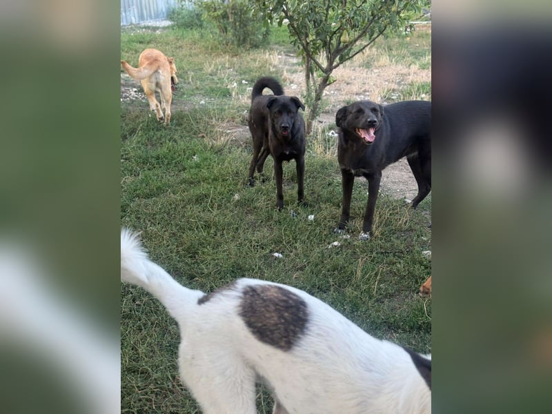 Yana, zarte Schönheit sucht ihre Menschen