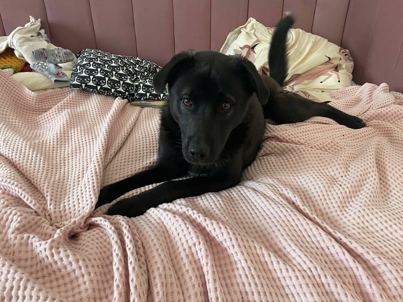 Yana, zarte Schönheit sucht ihre Menschen