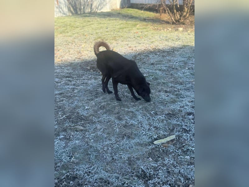 Yana, zarte Schönheit sucht ihre Menschen