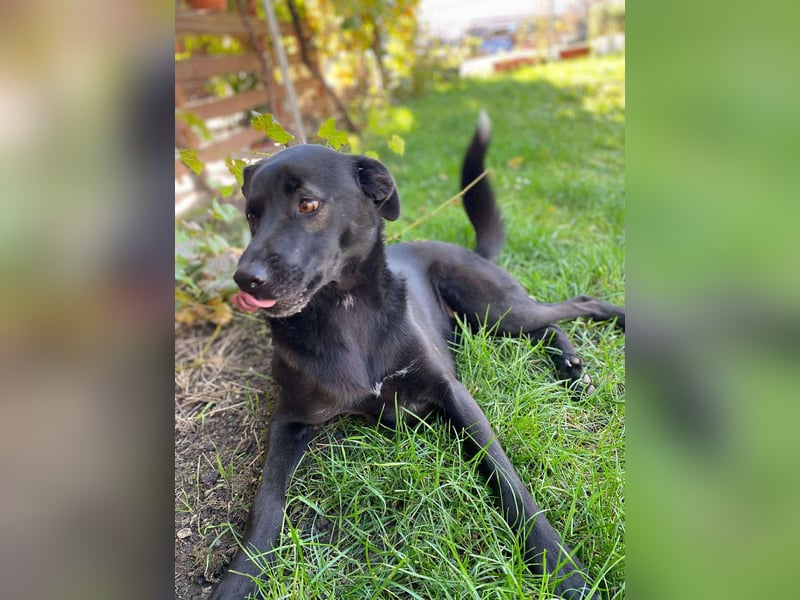 Yana, zarte Schönheit sucht ihre Menschen