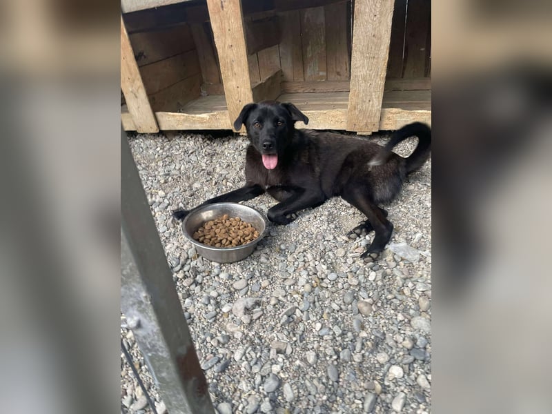 Yana, zarte Schönheit sucht ihre Menschen