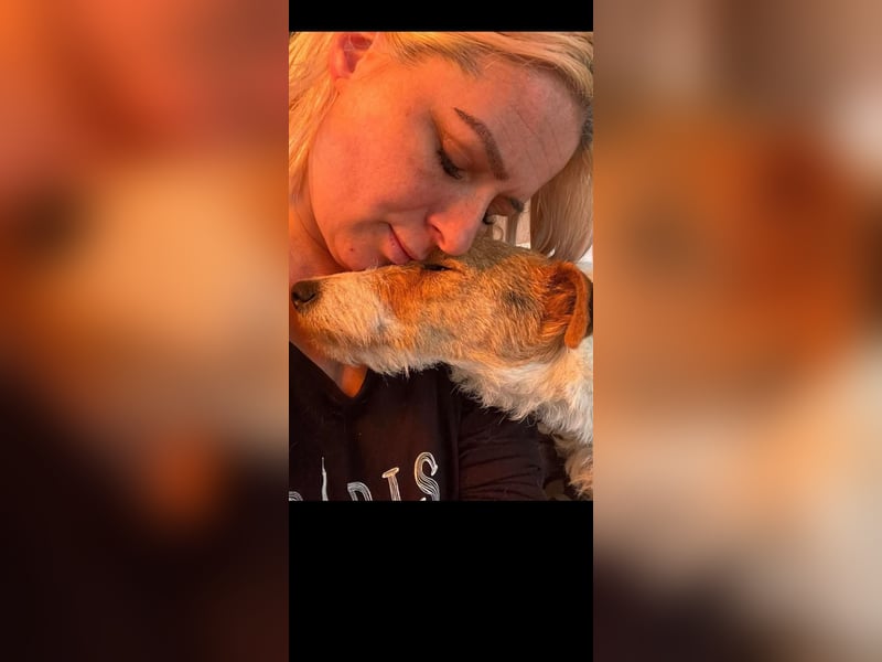 Foxy sucht liebevolles zu Hause
