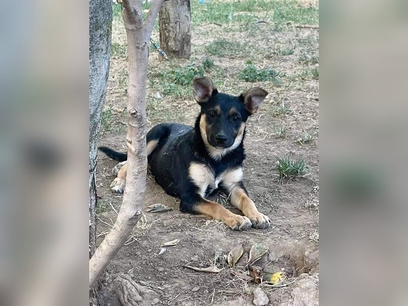 Mo sucht liebevolle Familie