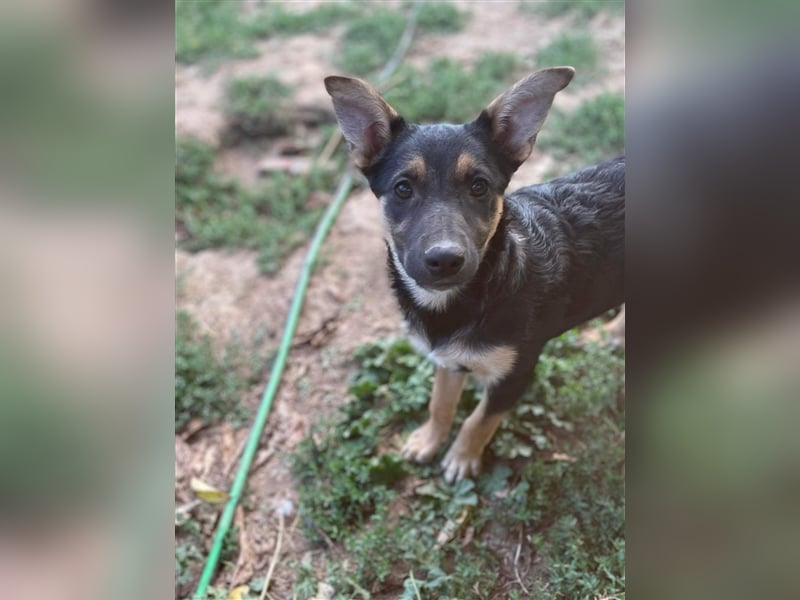 Mo sucht liebevolle Familie