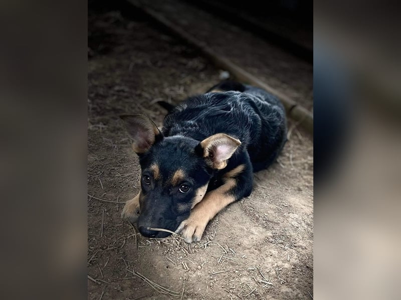 Mo sucht liebevolle Familie