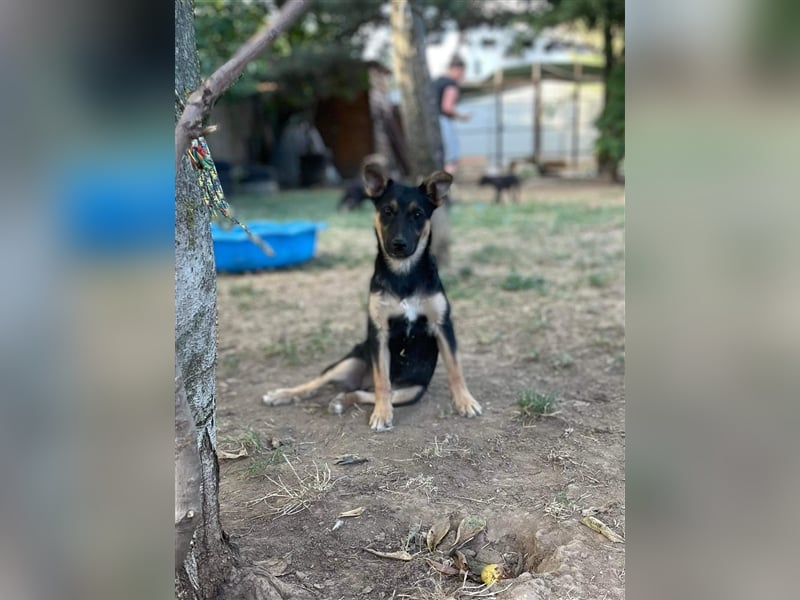 Mo sucht liebevolle Familie