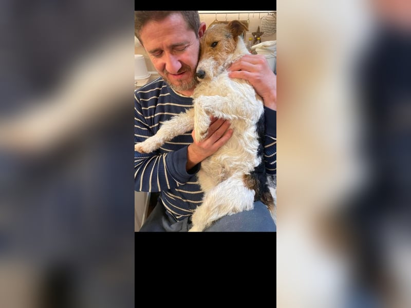 Foxy sucht liebevolles zu Hause