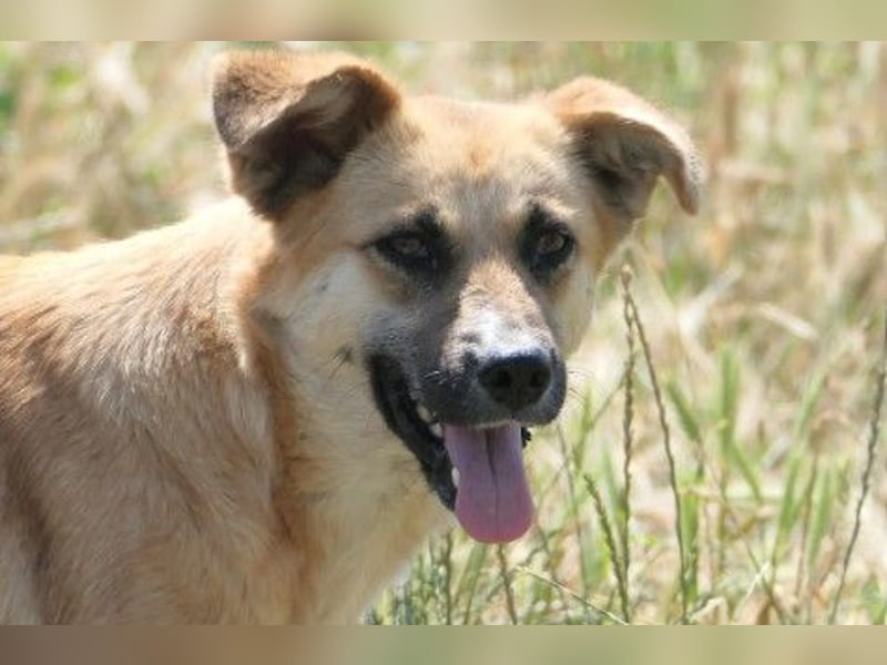 Hübsche Najma sucht ihre Menschen