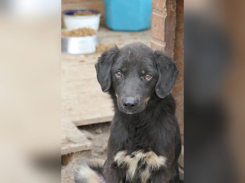 Amal sucht seine Menschen