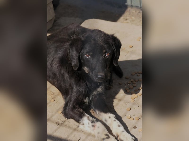 Amal sucht seine Menschen