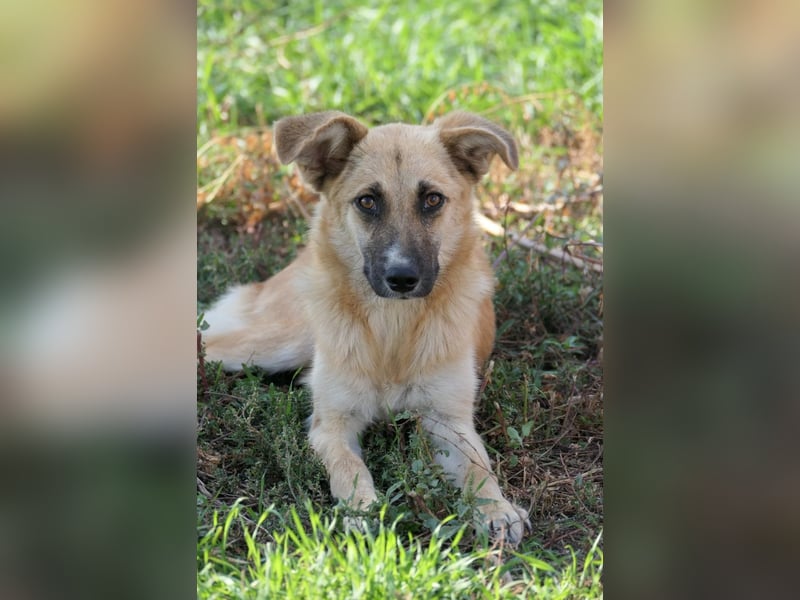 Hübsche Najma sucht ihre Menschen