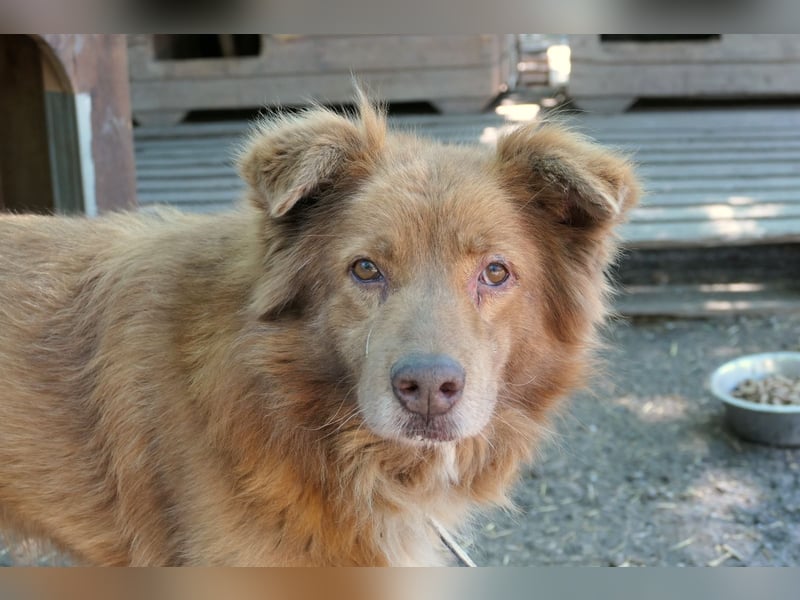 Kasper, wartet auf die lieben Menschen denen er vertrauen kann